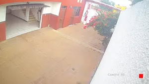 Caméra IP - MX