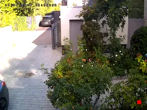 Caméra IP - DE