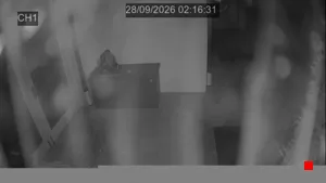 Caméra IP - DE