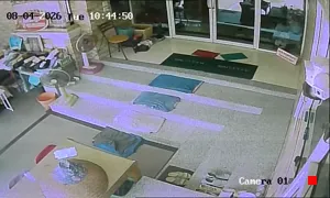 Caméra IP - TH