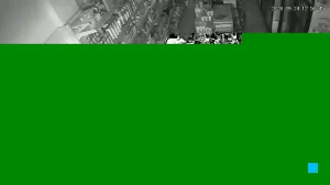 Caméra IP - DZ