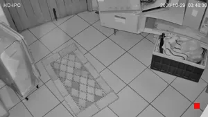 Caméra IP - BR