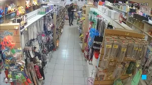Caméra IP - AR