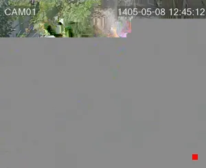 Caméra IP - IR
