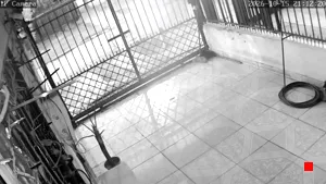 Caméra IP - CL