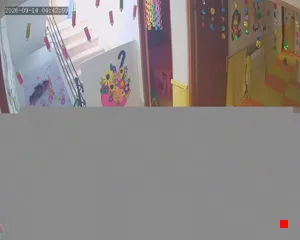Caméra IP - IR