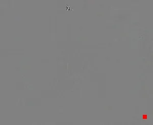 Caméra IP - IT