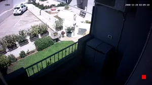 Caméra IP - IT