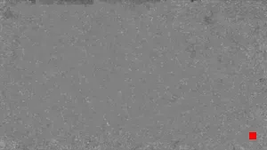 Caméra IP - US