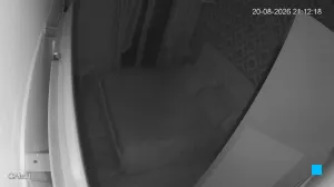 Caméra IP - IT