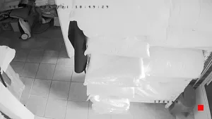 Caméra IP - CL
