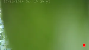 Caméra IP - IL
