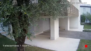 Caméra IP - IT
