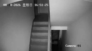 Caméra IP - CN