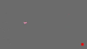 Caméra IP - IR