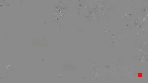 Caméra IP - IT