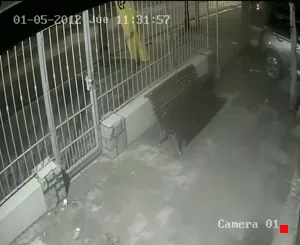 Caméra IP - UY