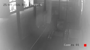 Caméra IP - DE