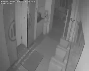 Caméra IP - IT