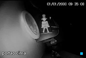 Caméra IP - Vue en direct