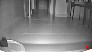 Caméra IP - ES