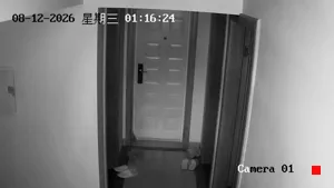 Caméra IP - CN