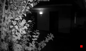 Caméra IP - IT