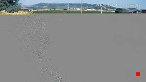 Caméra IP - IT