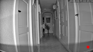 Caméra IP - ES
