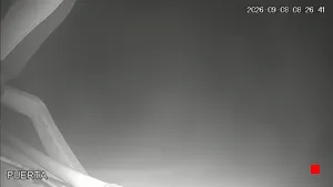 Caméra IP - ES