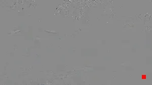 Caméra IP - ES