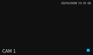 Caméra IP - IN