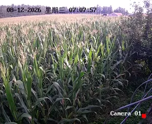 Caméra IP - CN