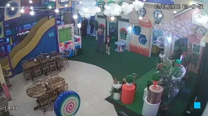 Caméra IP - BR