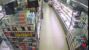 Caméra IP - ES