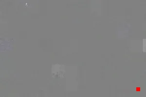 Caméra IP - IT