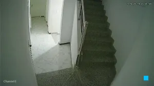 Caméra IP - DZ