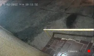 Caméra IP - PY