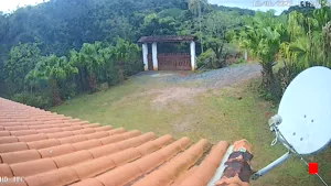 Caméra IP - BR