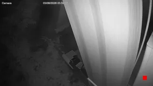 Caméra IP - IT