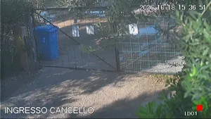 Caméra IP - IT