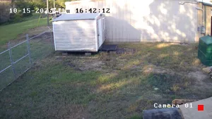 Caméra IP - US