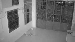 Caméra IP - IN