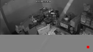 Caméra IP - US