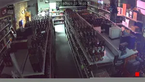 Caméra IP - US