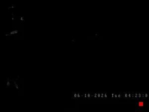 Caméra IP - AR