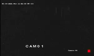 Caméra IP - IT