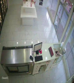 Caméra IP - MX