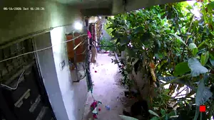 Caméra IP - DZ