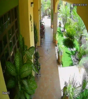 Caméra IP - MX